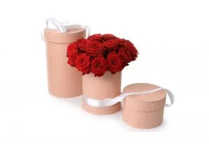 Embalagens de cartão para flores